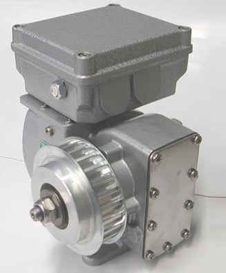 Custom Gear Motors